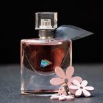 tout savoir sur le parfum