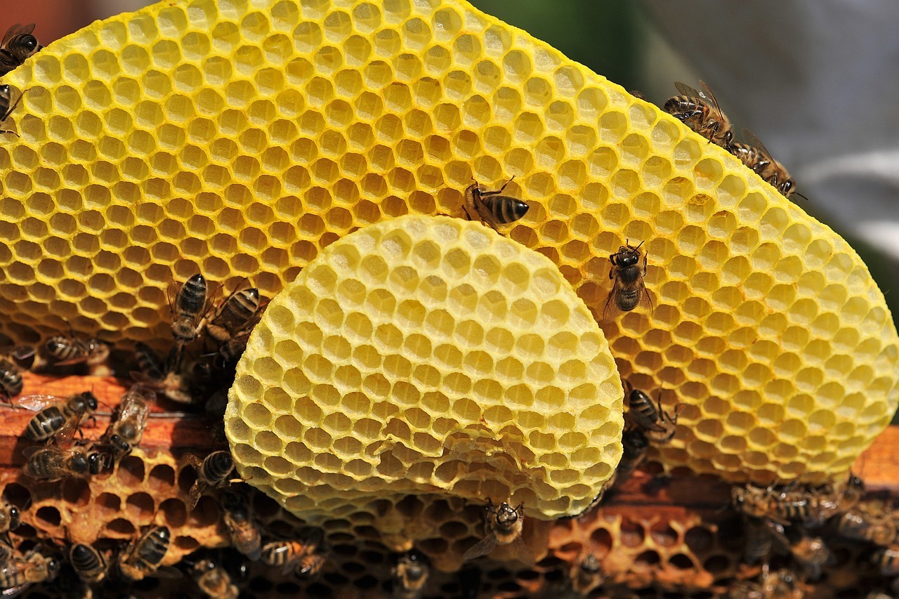 emballage cire abeille