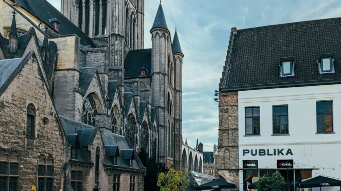 L’esthétique d’un environnement sain sans nuisibles à Orléans