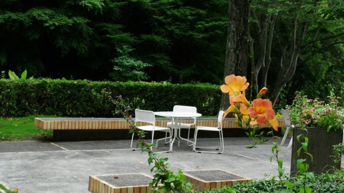 A patio with a table, chairs and flowers